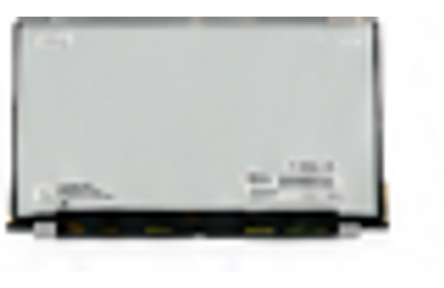 Panelook.lk 17.3 Inch